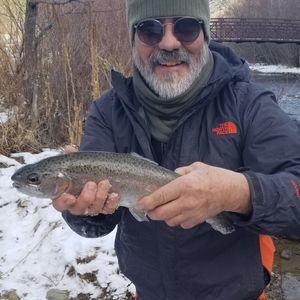 Meet your Posher, Chris